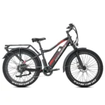 Rower Elektryczny JOBOBIKE Robin