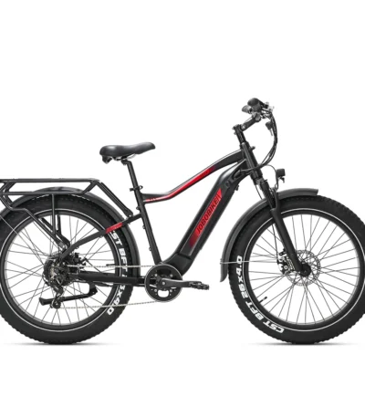 Rower Elektryczny JOBOBIKE Apex