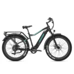 Rower Elektryczny JOBOBIKE Apex