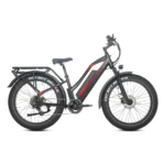 Rower Elektryczny JOBOBIKE Robin Pro