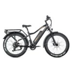 Rower Elektryczny JOBOBIKE Robin Pro - obrazek 8
