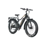 Rower Elektryczny JOBOBIKE Robin Pro - obrazek 9
