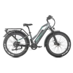 Rower Elektryczny JOBOBIKE Robin Pro - obrazek 10