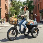 Rower Elektryczny JOBOBIKE Triker - obrazek 18