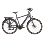 Rower elektryczny Jobobike Henry